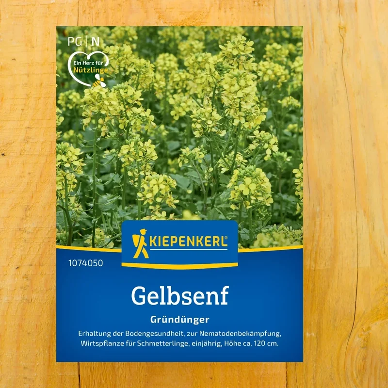 Gelbsenf Weißsamiger Senf