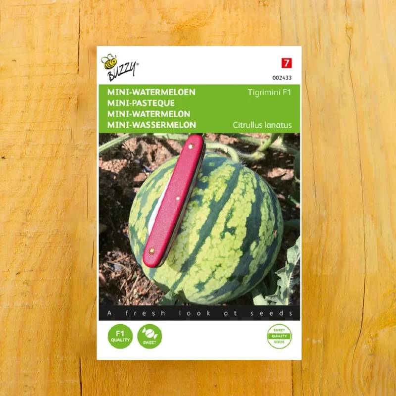 Wassermelone Tigrimini