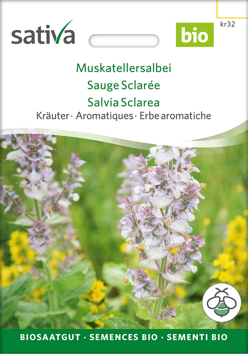 BIO Saatgut Muskatellersalbei