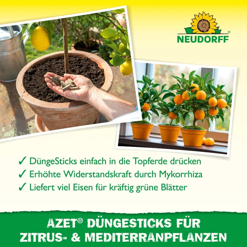 Neudorff Azet DüngeSticks für Zitrus- und Mediterranpflanzen
