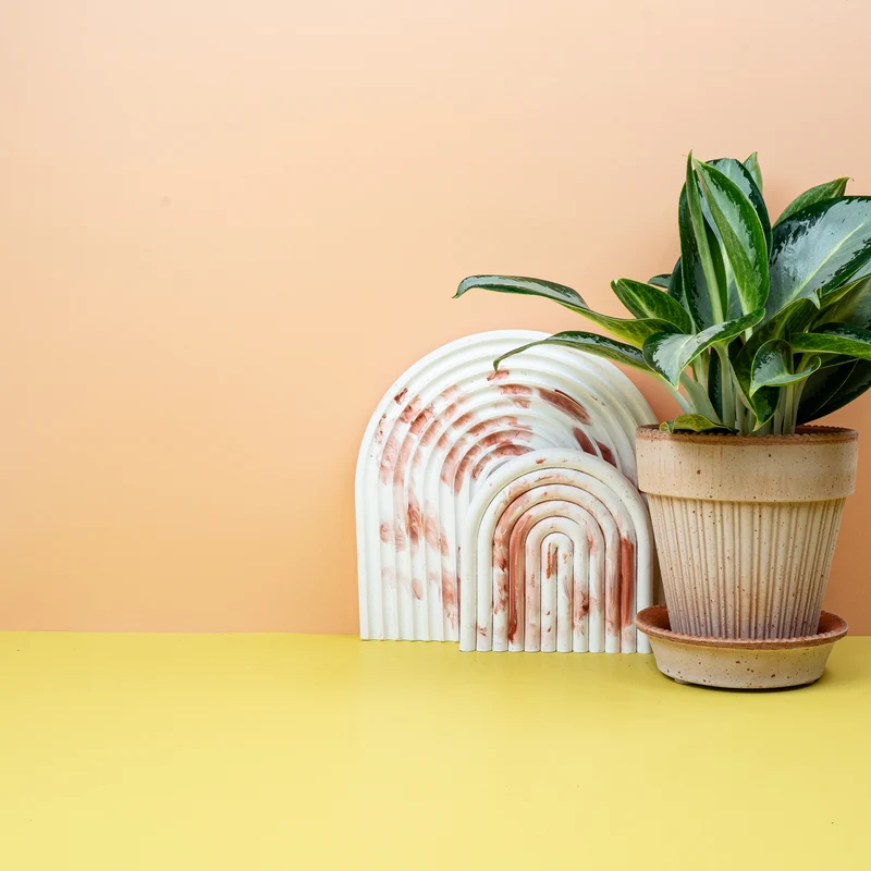 AGLAONEMA SILVER BLUE