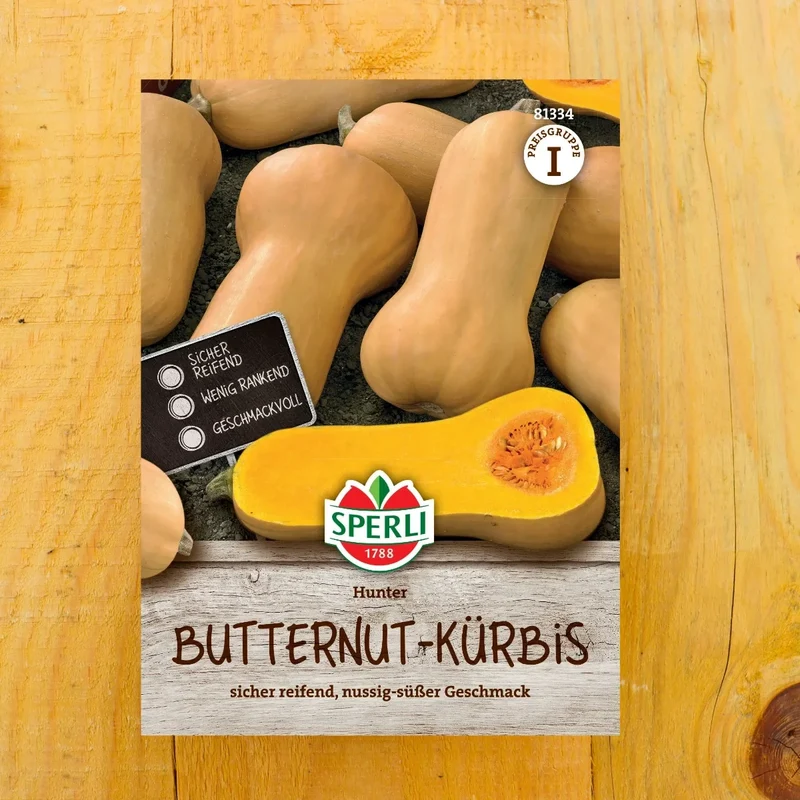 Butternutkürbis Hunter, F1