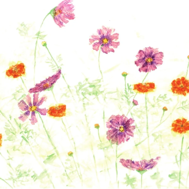Geschenkgutschein Cosmea