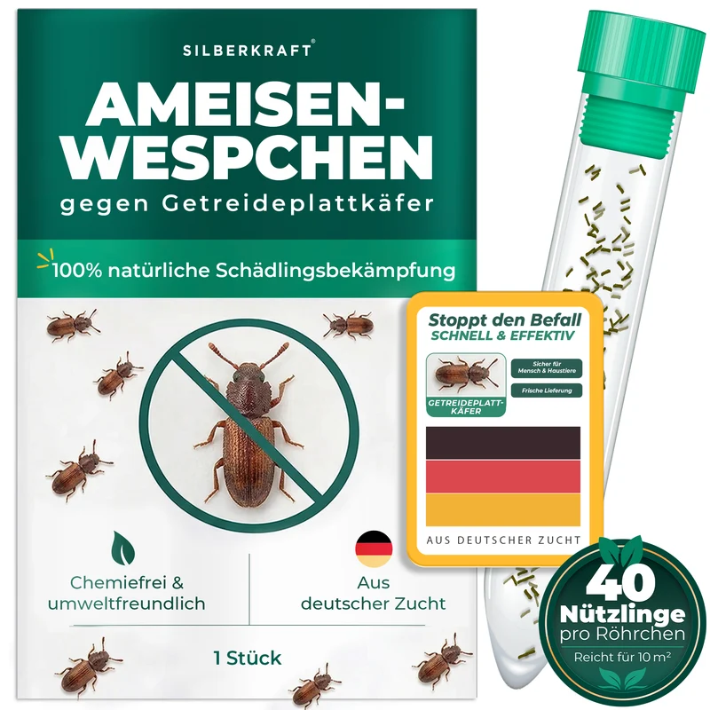 Ameisenwespchen - Cephalonomia tarsalis (CephiTop®)