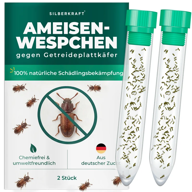 Ameisenwespchen - Cephalonomia tarsalis (CephiTop®)