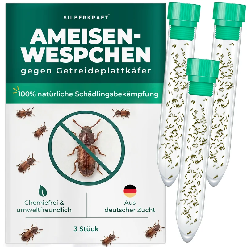 Ameisenwespchen - Cephalonomia tarsalis (CephiTop®)