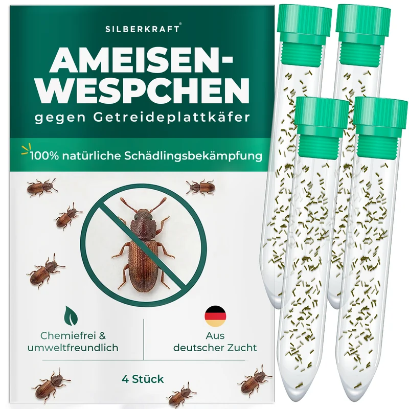 Ameisenwespchen - Cephalonomia tarsalis (CephiTop®)