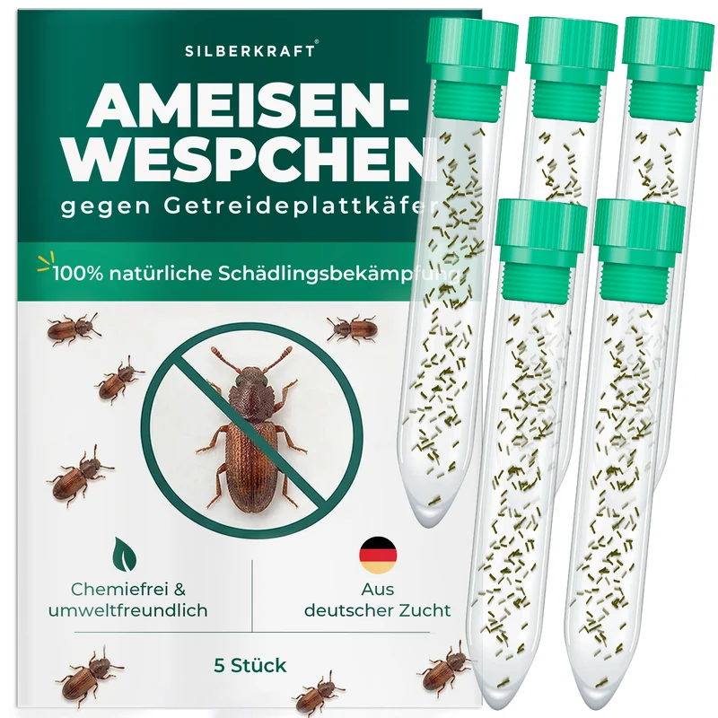 Ameisenwespchen - Cephalonomia tarsalis (CephiTop®)
