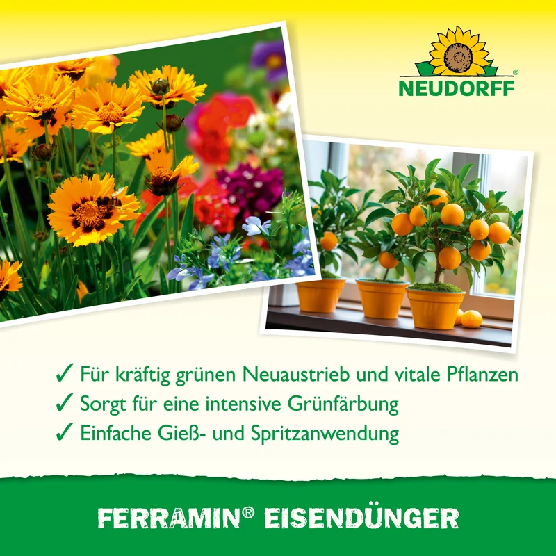 Neudorff Ferramin Eisendünger