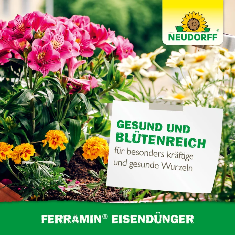 Neudorff Ferramin Eisendünger