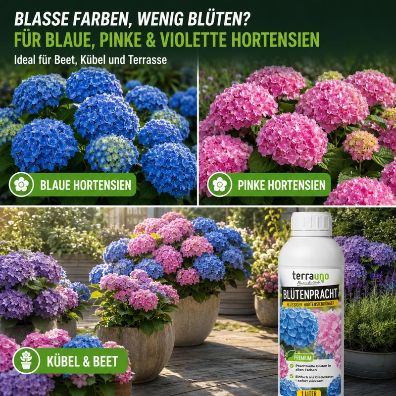 Blütenpracht - Flüssiger Hortensiendünger
