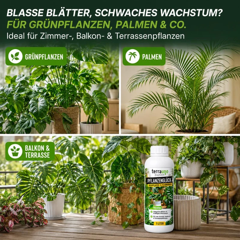 Pflanzenglück - Grünpflanzen- & Palmendünger