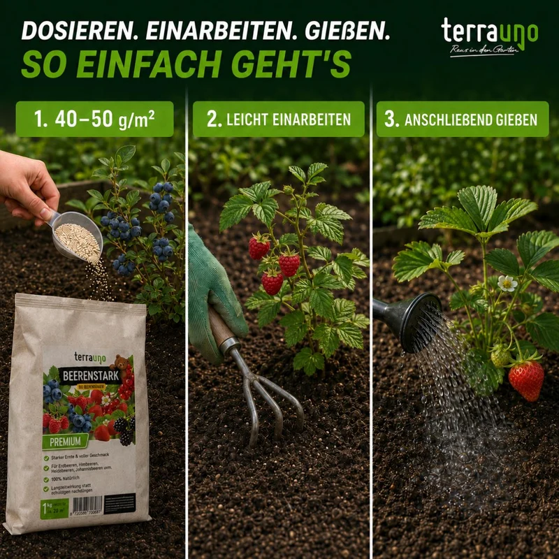 Beerenstark - Bio Beerendünger