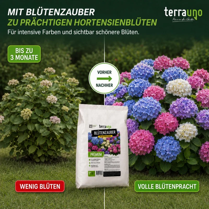 Blütenzauber - BIO Hortensiendünger