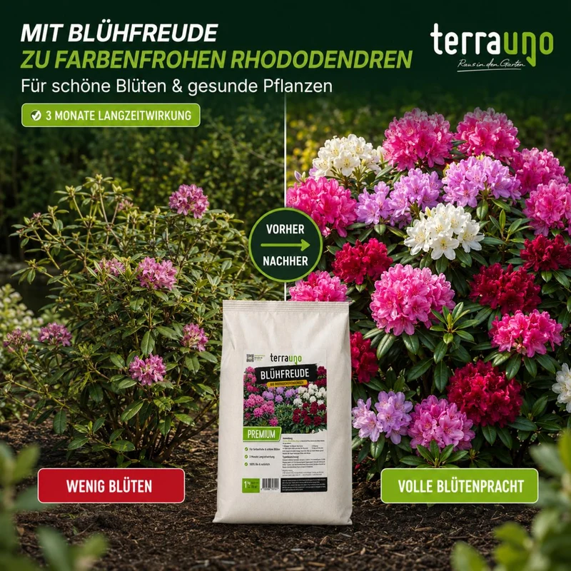 Blühfreude - Bio Rhododendrondünger