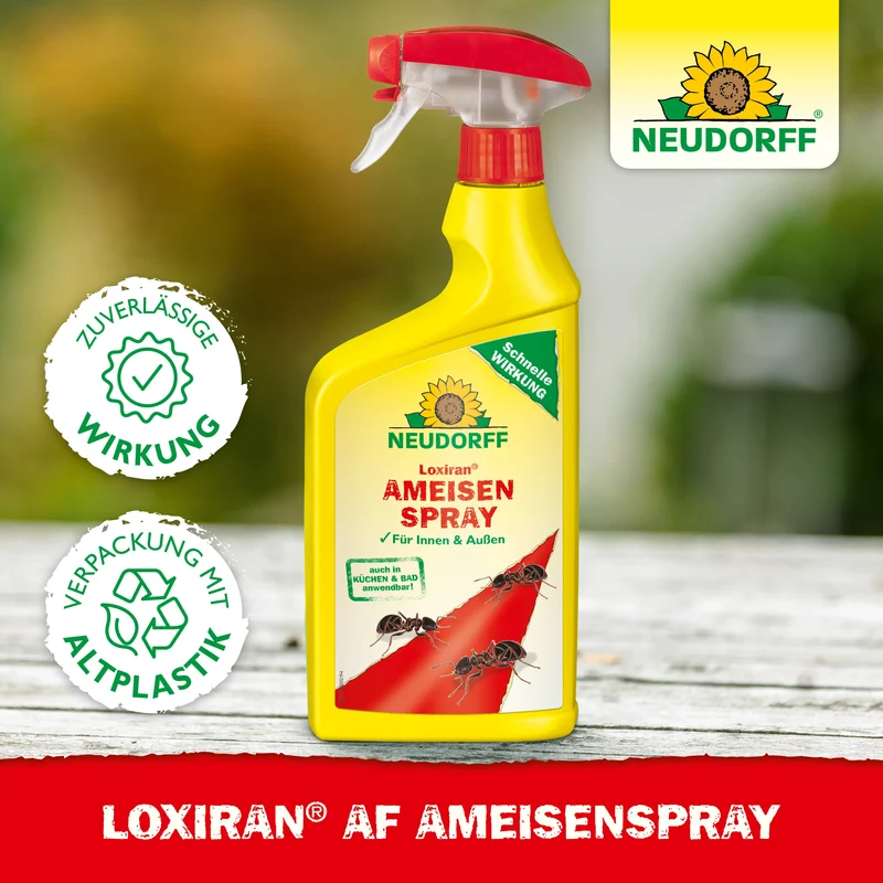 Neudorff Loxiran AF AmeisenSpray 750ml