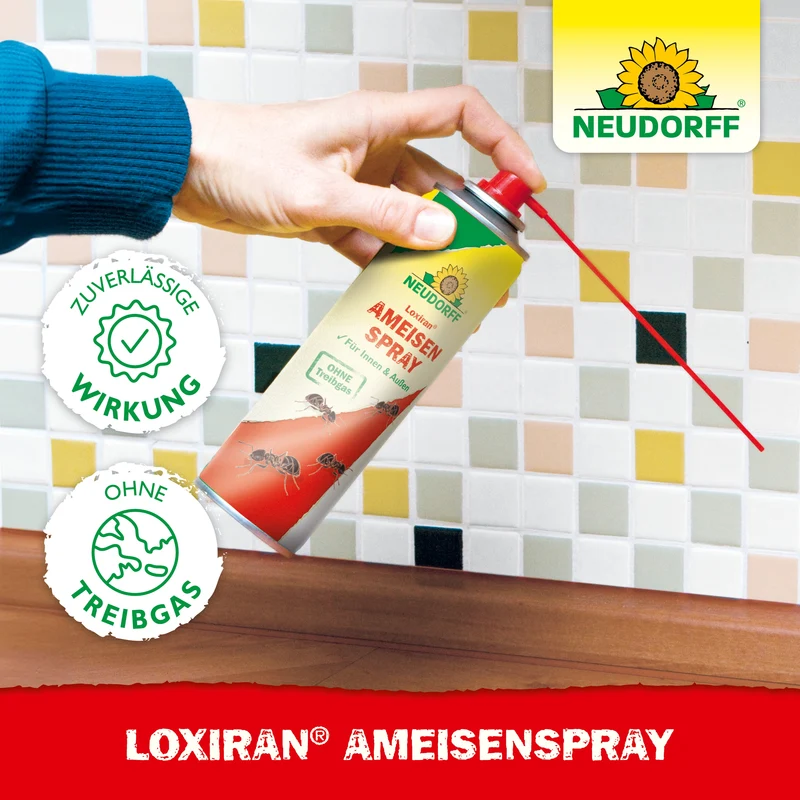 Neudorff Loxiran AmeisenSpray
