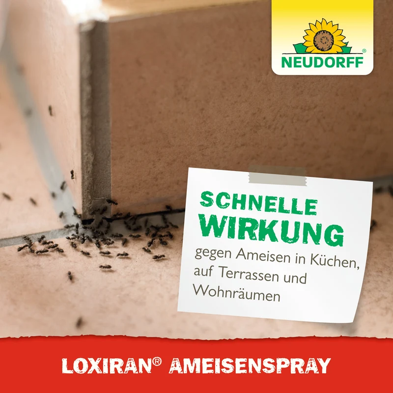 Neudorff Loxiran AmeisenSpray