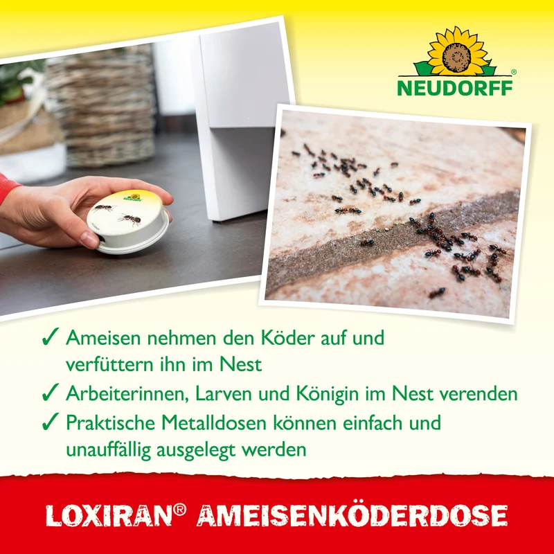 Neudorff Loxiran Ameisenköderdose