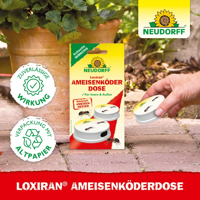 Neudorff Loxiran Ameisenköderdose