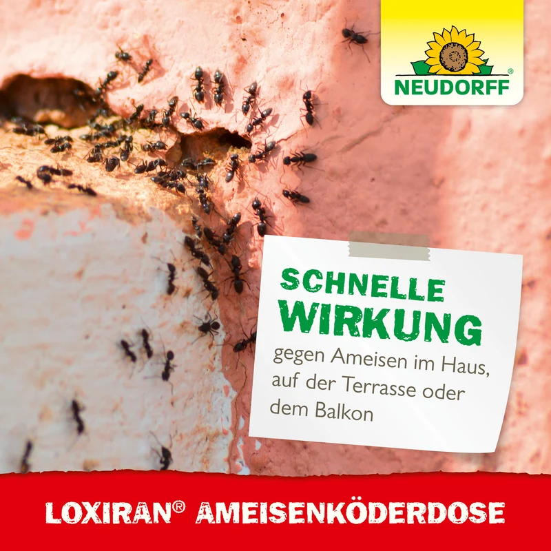 Neudorff Loxiran Ameisenköderdose