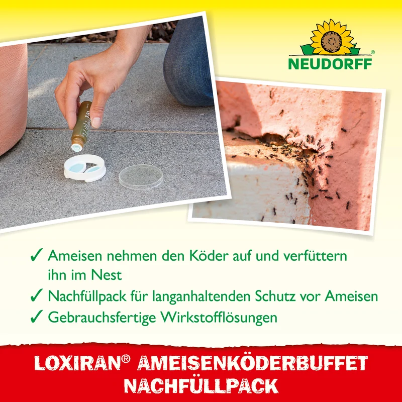 Neudorff Loxiran Ameisenköderbuffet Nachfüllpack