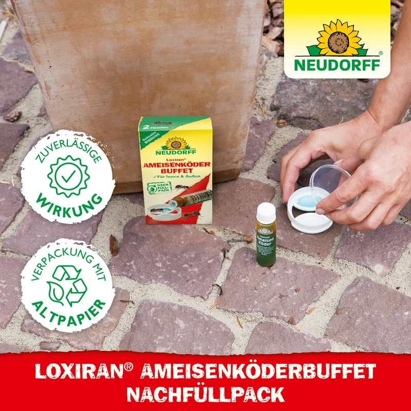 Neudorff Loxiran Ameisenköderbuffet Nachfüllpack