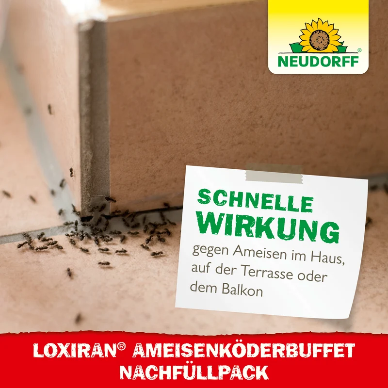 Neudorff Loxiran Ameisenköderbuffet Nachfüllpack