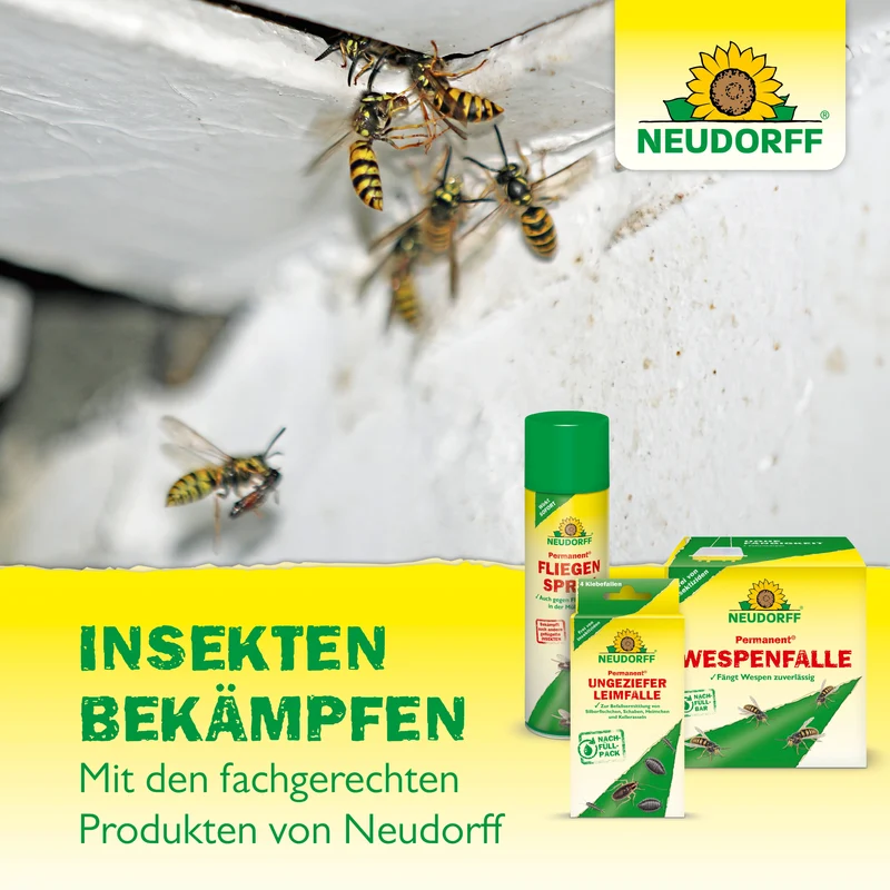 Neudorff Loxiran Ameisenköderbuffet Nachfüllpack