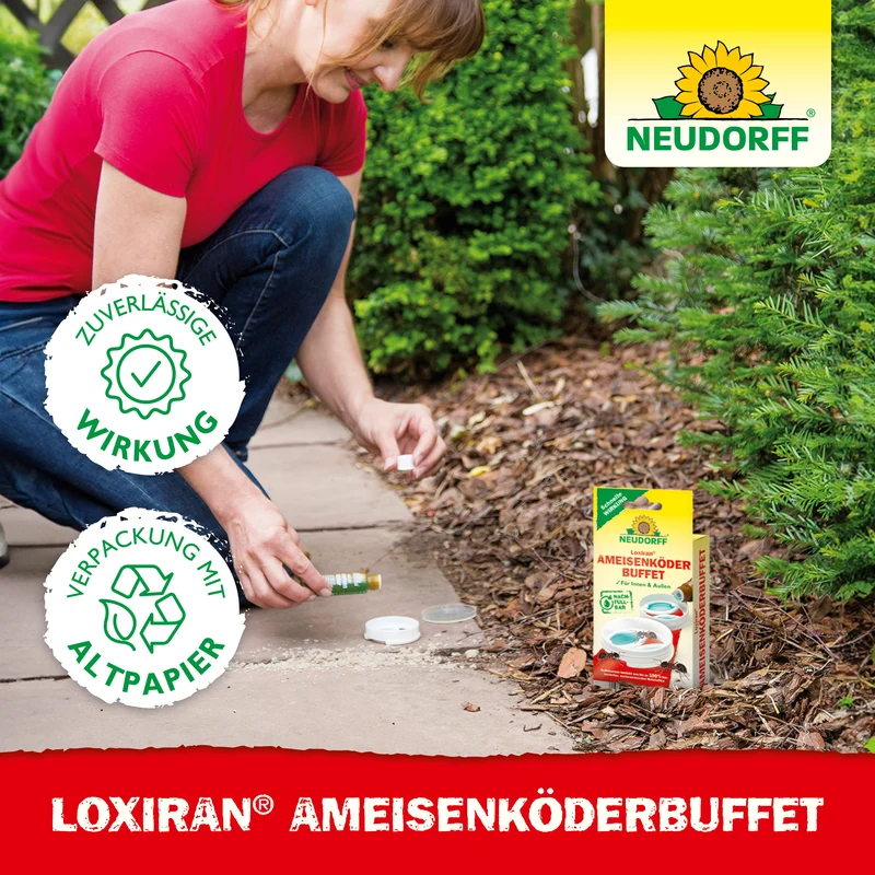 Neudorff Loxiran Ameisenköderbuffet