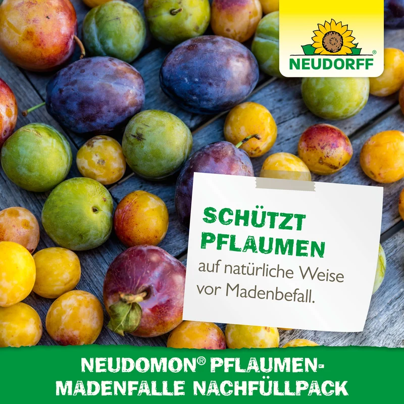Neudorff Neudomon PflaumenmadenFalle Nachfüllpack
