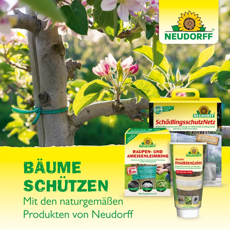 Neudorff Neudomon PflaumenmadenFalle Nachfüllpack