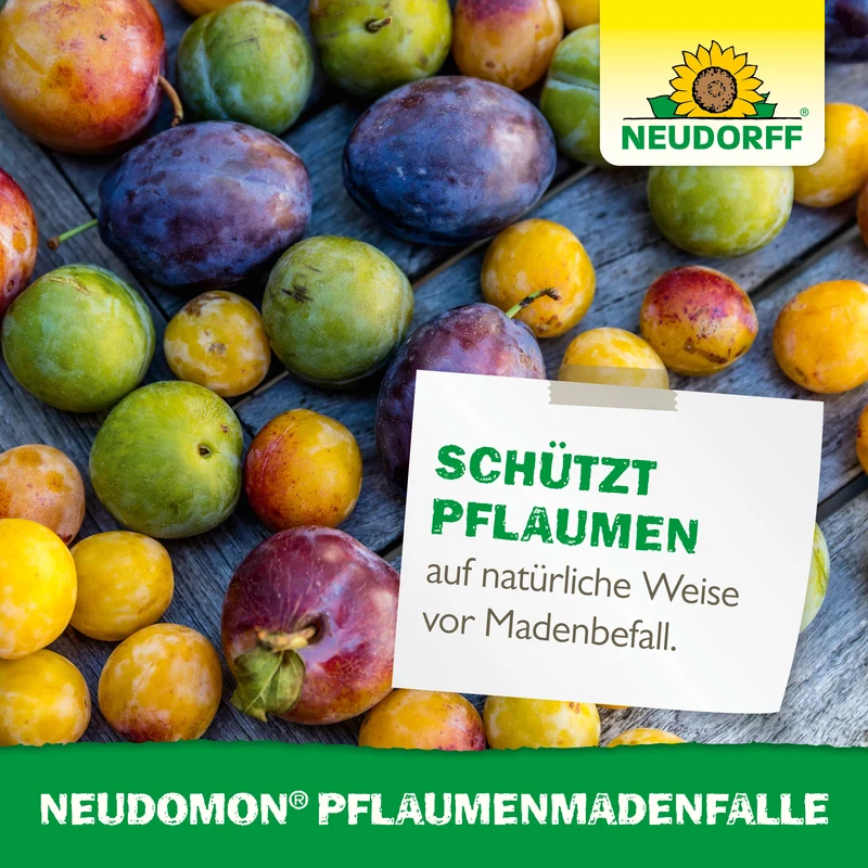 Neudorff Neudomon PflaumenmadenFalle