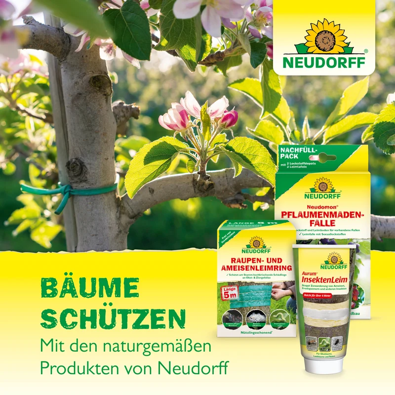 Neudorff Neudomon PflaumenmadenFalle
