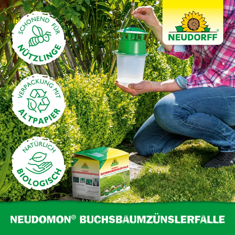 Neudorff Neudomon BuchsbaumzünslerFalle