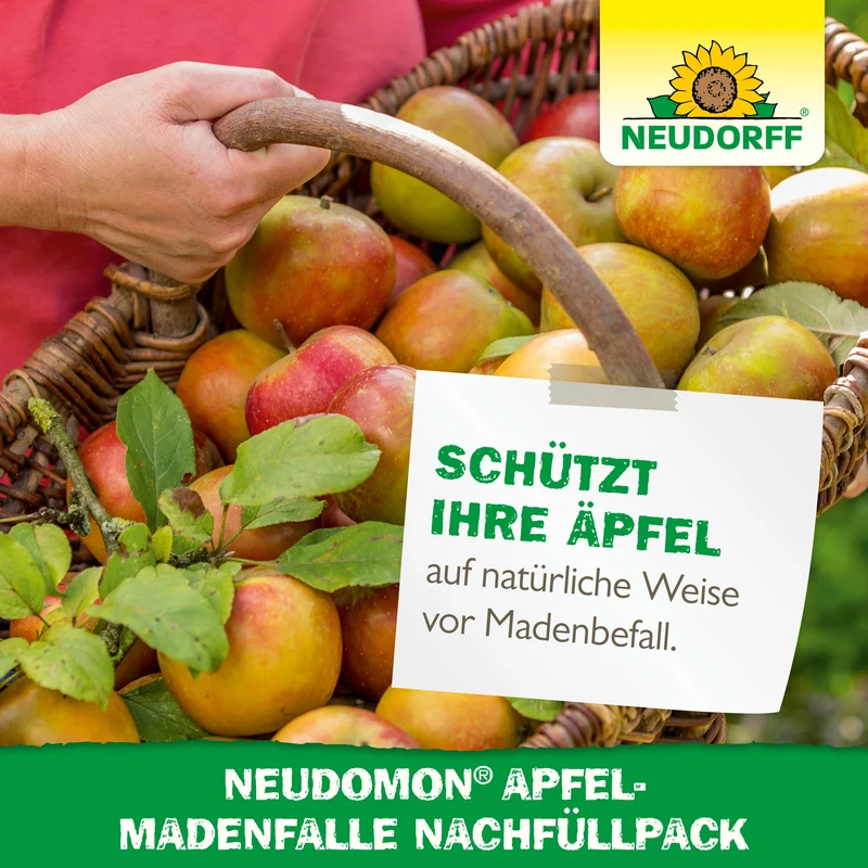 Neudorff Neudomon ApfelmadenFalle Nachfüllpack