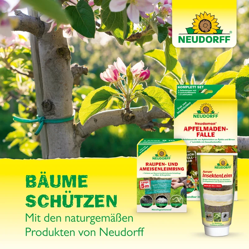Neudorff Neudomon ApfelmadenFalle Nachfüllpack