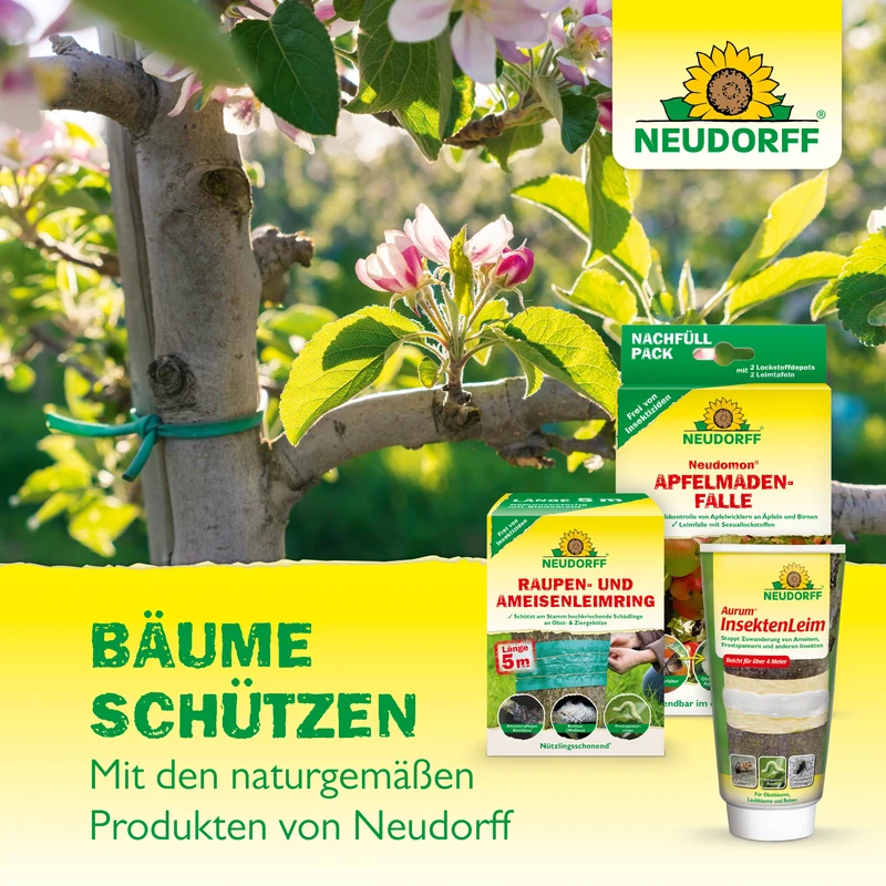 Neudorff Neudomon ApfelmadenFalle