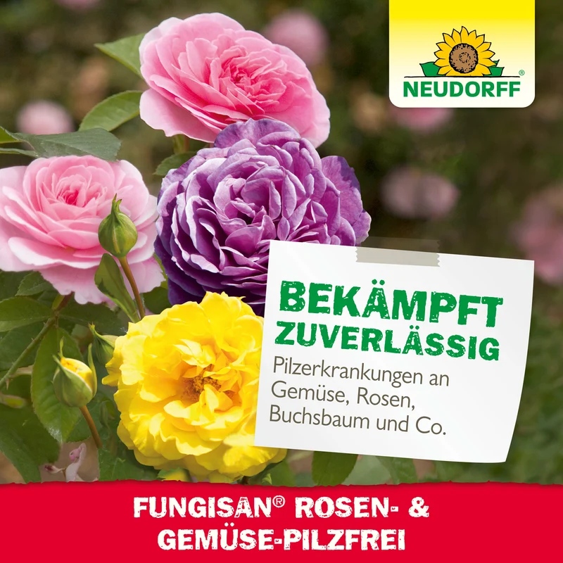 Neudorff Fungisan Rosen- und Gemüse-Pilzfrei