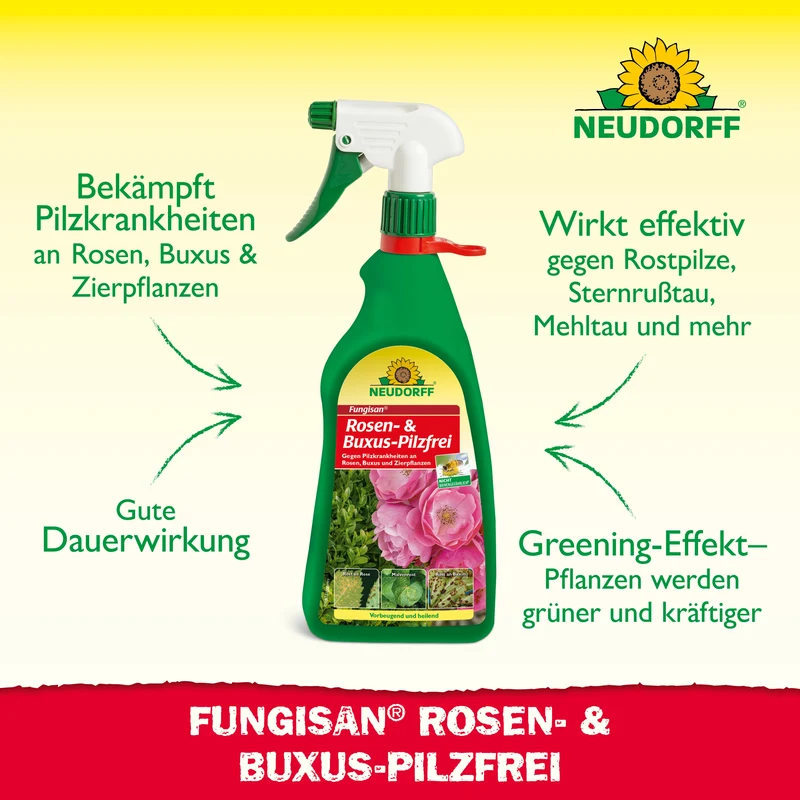 Neudorff Fungisan Rosen- und Buxus-Pilzfrei