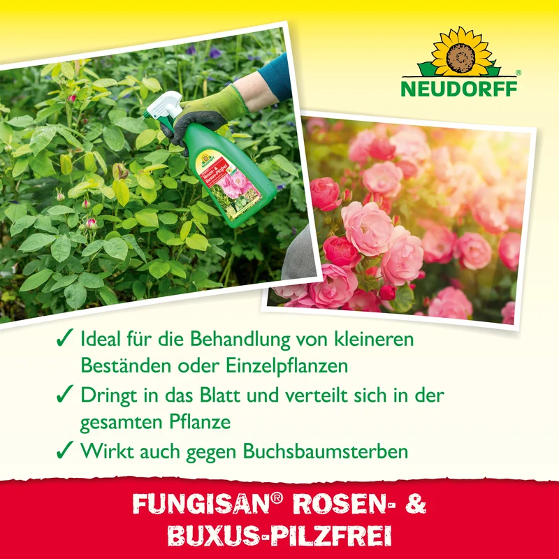 Neudorff Fungisan Rosen- und Buxus-Pilzfrei