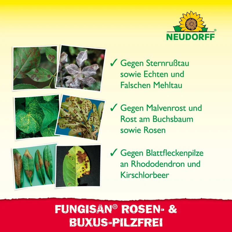 Neudorff Fungisan Rosen- und Buxus-Pilzfrei