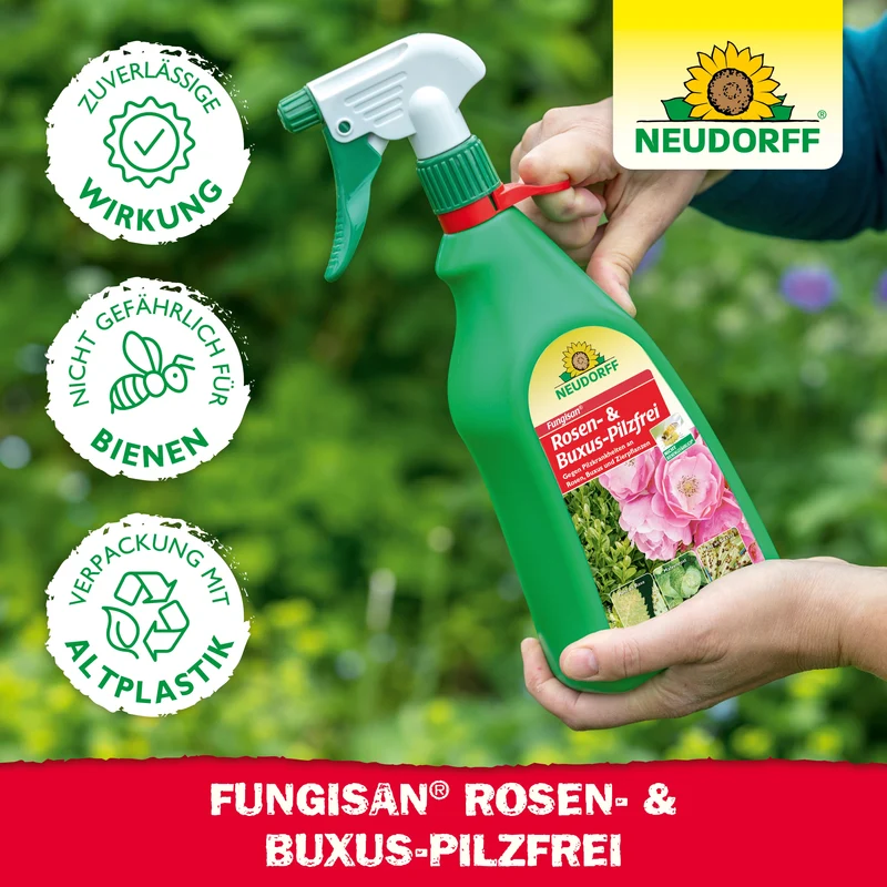 Neudorff Fungisan Rosen- und Buxus-Pilzfrei