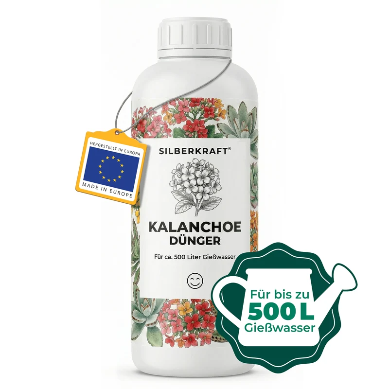 Kalanchoe-Dünger - Mineralischer NPK Flüssigdünger 8-6-6 mit Stickstoff - Dünger für Kalanchoe