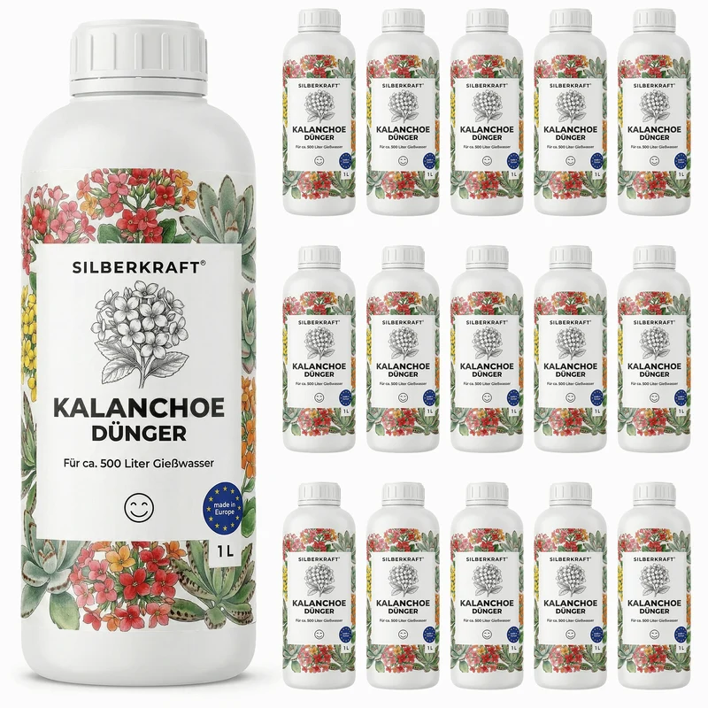 Kalanchoe-Dünger - Mineralischer NPK Flüssigdünger 8-6-6 mit Stickstoff - Dünger für Kalanchoe