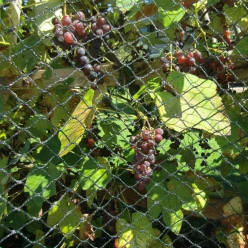 Vogelschutznetz