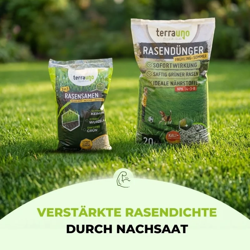 Saisonstart-Rasenset
