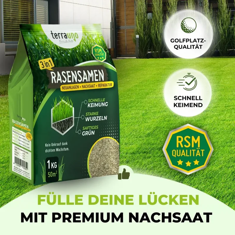 Frühlingsstarter-Set