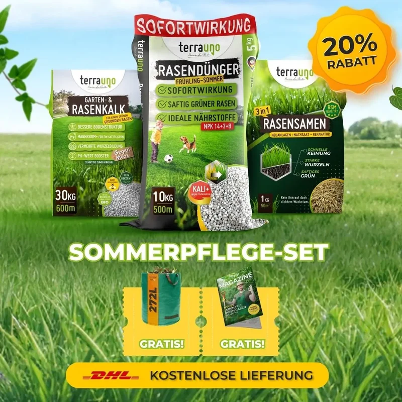 Frühlingsstarter-Set