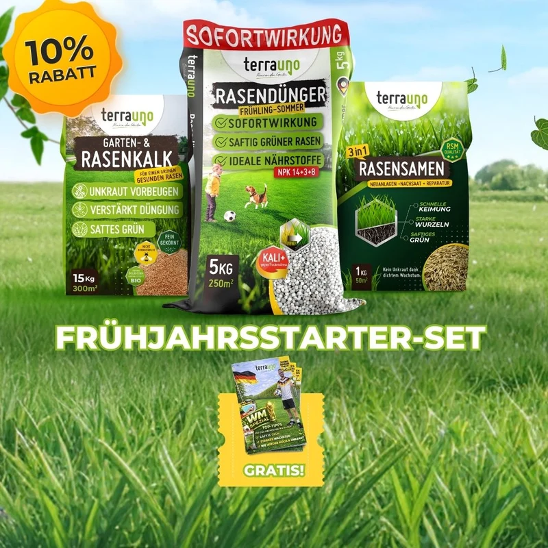 Frühlingsstarter-Set